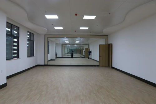 大朗场馆建设进入收尾阶段 室内外装饰工程设计亮点解析